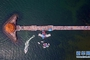 俯瞰青岛栈桥（8月10日摄）。新华社记者 王建华 摄