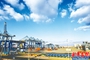 青岛港全自动化码头全景。